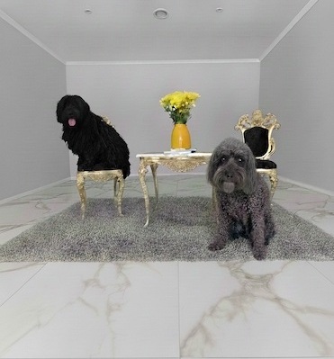 Salon view 4